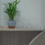 L'albero Di Giada Privat bolig *